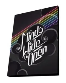 Minds Wide Open Movie DVD